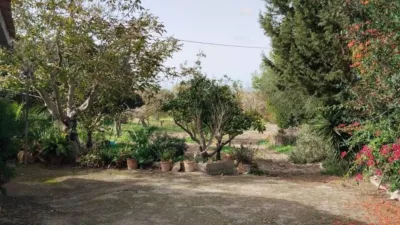 House in Felanitx photo 9