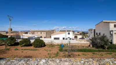 House in Algaida photo 26