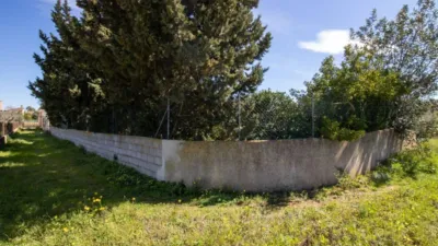 House in Algaida photo 49