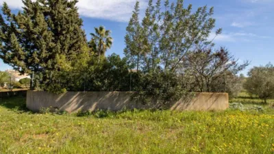 House in Algaida photo 50