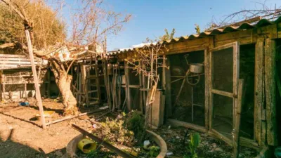 Rustic house in Binissalem photo 10