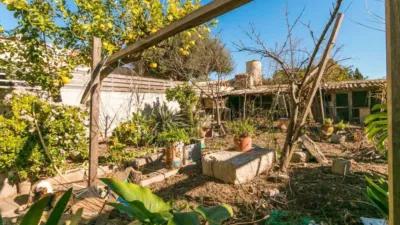 Rustic house in Binissalem photo 8