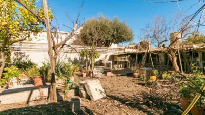 Rustic house in Binissalem photo 9