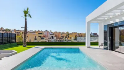 Villa in Algorfa photo 48