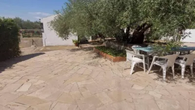 Rustic property in L'Ametlla de Mar photo 23