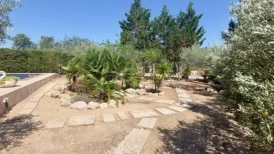 Rustic property in L'Ametlla de Mar photo 36