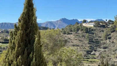 Chalet in La Viña-Montemar-San Jaime photo 47