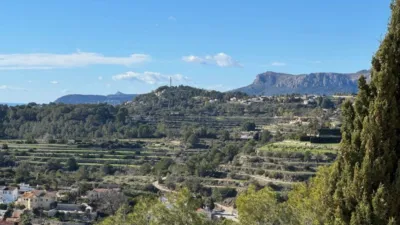 Chalet in La Viña-Montemar-San Jaime photo 48