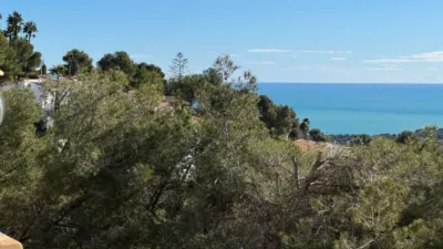 Chalet in La Viña-Montemar-San Jaime photo 59