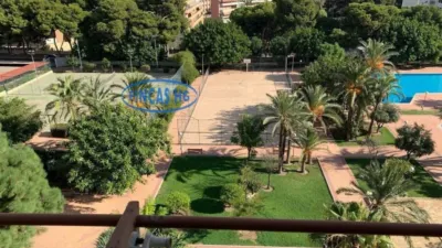 Apartment in Alicante - Alacant - Vista 2