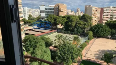 Apartment in Alicante - Alacant - Vista 4