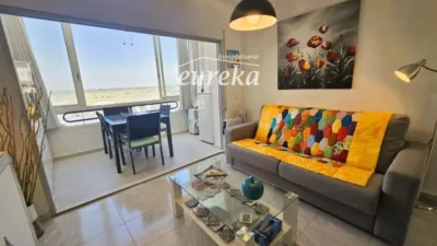 Apartment in Santa Margarida photo 8