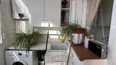 Apartment in Olot photo 28