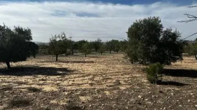 Terreno en venta en Biar - View 2