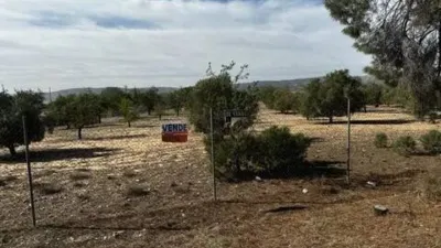 Terreno en venta en Biar - View 4