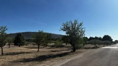 Terreno en venta en Biar - View 5