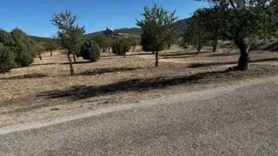 Terreno en venta en Biar - More