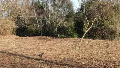 Chalet en venta en Calle As-379, 60 A, Llanes de 260.000 €