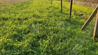 Terreno en venta en Boiro - Vista 4