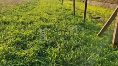 Terreno en venta en Boiro - Vista 5