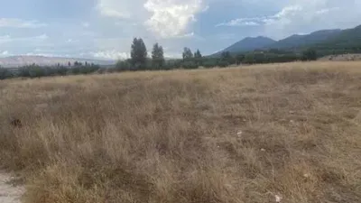 Terreno en venta en Biar - Más