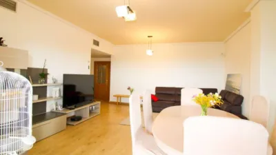 Apartment in Sant Jordi photo 25