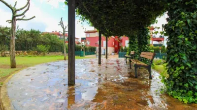 Apartment in Sant Jordi photo 52