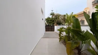 Casa – Torrevieja - Més