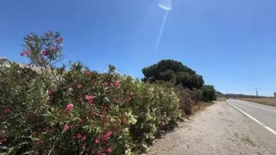 Rustic house in Carboneras photo 24