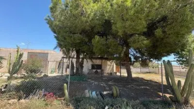 Rustic house in Carboneras photo 3
