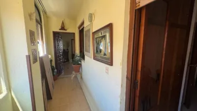 Apartment in La Mata photo 15