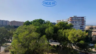 Apartment in Playa de San Juan photo 33