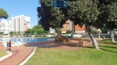 Apartment in Playa de San Juan photo 37
