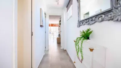 Apartment in Racó de l'Oix photo 12