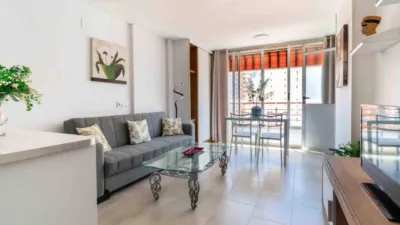 Apartment in Racó de l'Oix photo 3