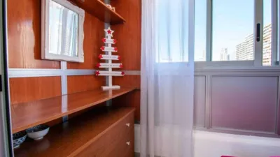 Apartment in Racó de l'Oix photo 9