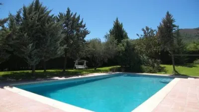 House in the Centre photo 3