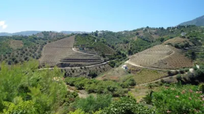 Chalet in Frigiliana photo 27