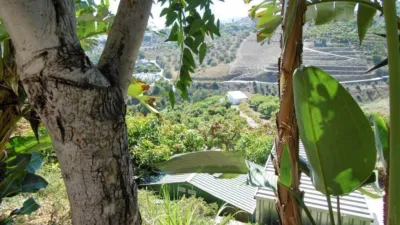 Chalet in Frigiliana photo 50