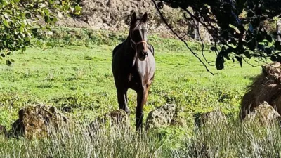 Casa rústica en venta en O Irixo (Estacion, A), O Irixo (Estacion, A) de 84.989 €