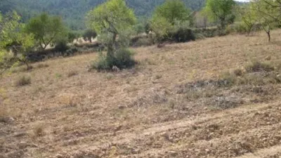 Terreno en venta en Calle Carr.Biar-Baneres Km. 5,5 No Number - Vista 2