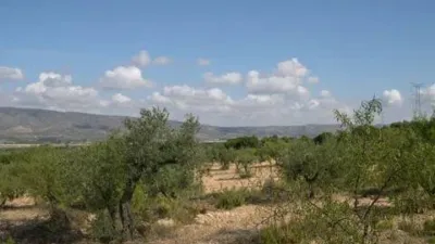 Terreno en venta en Calle Carr.Biar-Baneres Km. 5,5 No Number - Vista 3