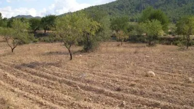 Terreno en venta en Calle Carr.Biar-Baneres Km. 5,5 No Number - Vista 4