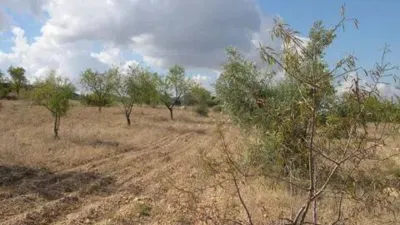 Terreno en venta en Calle Carr.Biar-Baneres Km. 5,5 No Number - Vista 5