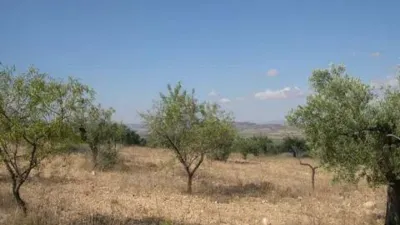 Terreno en venta en Calle Carr.Biar-Baneres Km. 5,5 No Number - Més