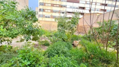 House in Albatera - Vista 6