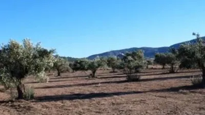 Terreno en venta en Biar - Vista 2