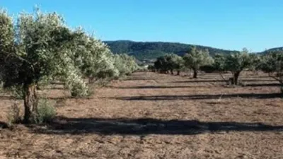 Terreno en venta en Biar - Vista 3