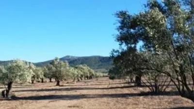 Terreno en venta en Biar - Vista 4