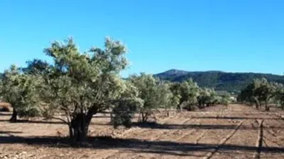 Terreno en venta en Biar - Vista 5